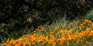 Dünyanın En Etik Şirketleri Listesine Girdi! çevre