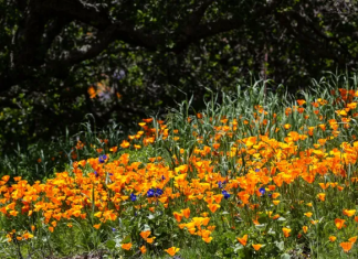 Dünyanın En Etik Şirketleri Listesine Girdi! çevre