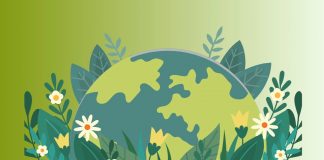 Dünya Çevre Günü: Çevreye Duyarlı Saç Boyaları dünya çevre günü