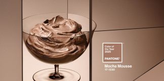 2025 Yılı Pantone Rengi: Mocha Mousse pantone yılın rengi 2025