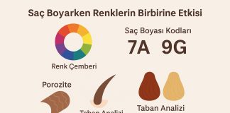 Saç Boyama, Renk Teorisi ve Renklerin Birbirine Etkisi saç boyama