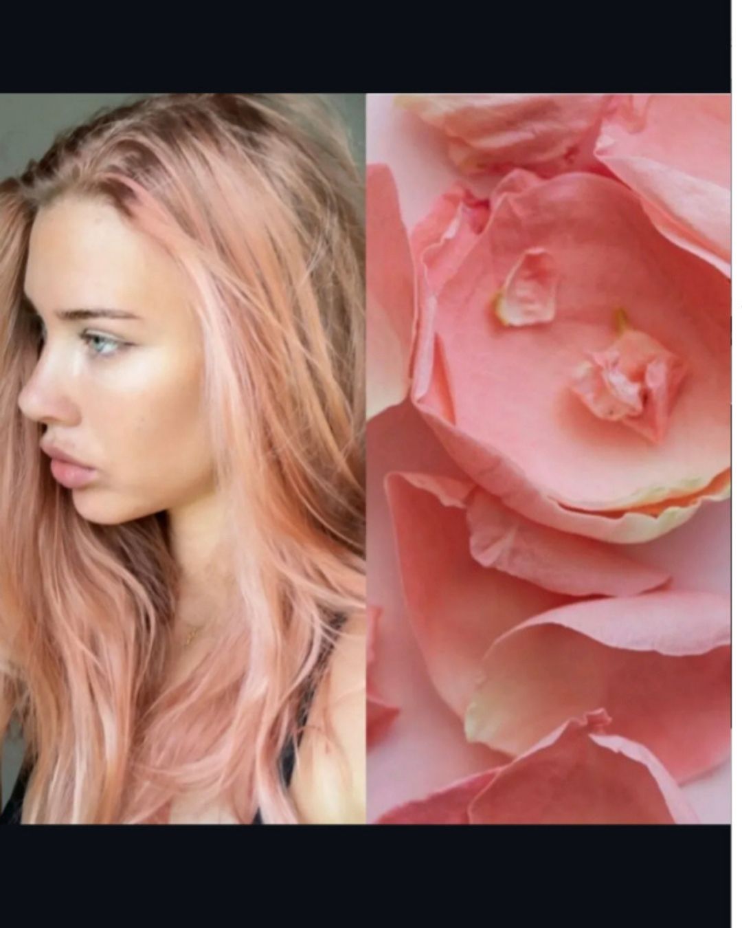 Colorist 817