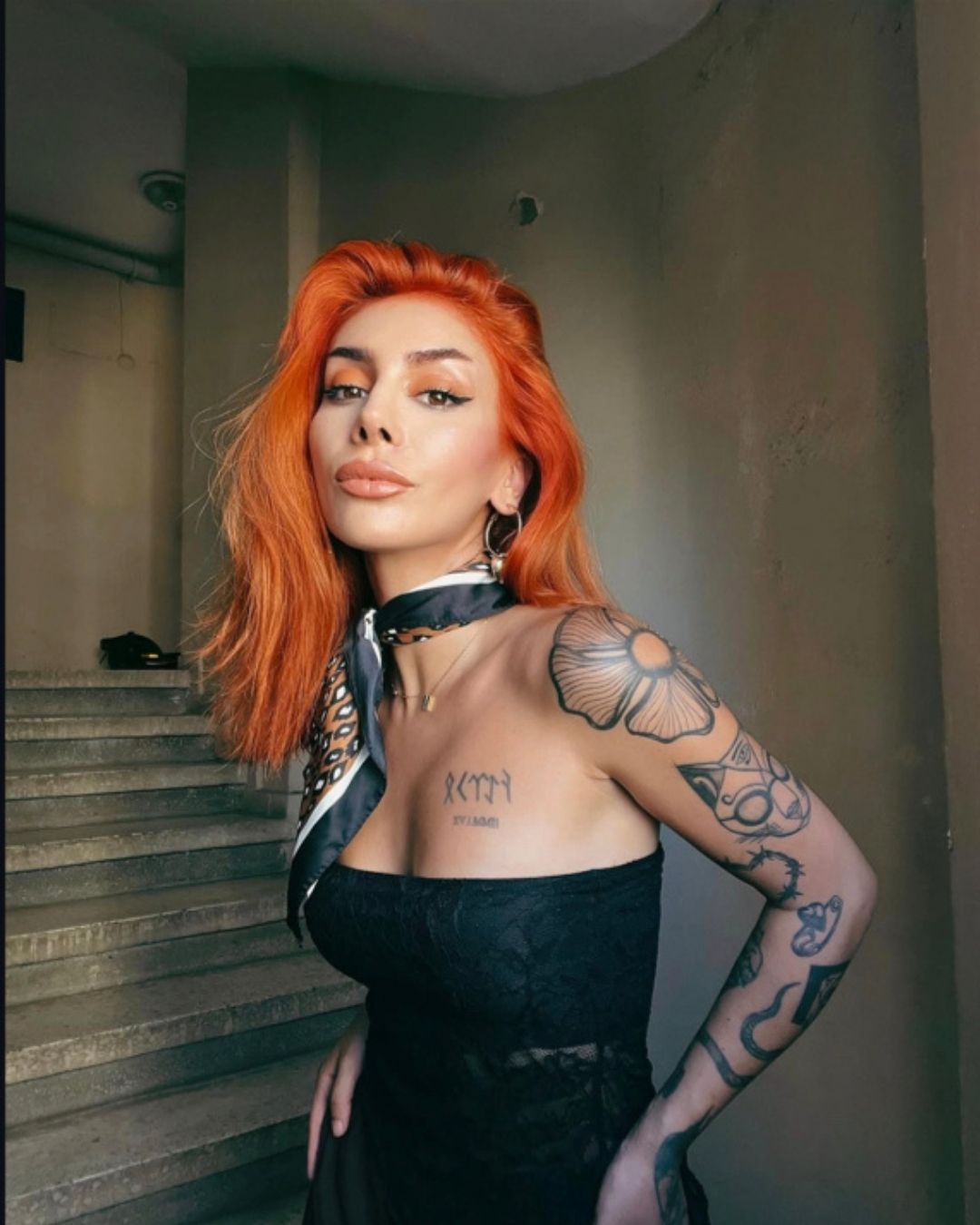 Colorist 818